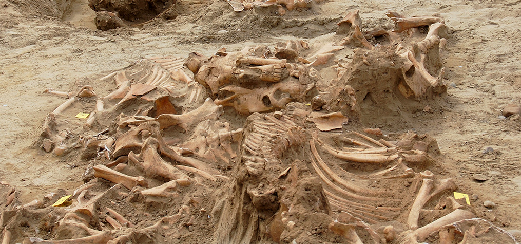 Gesellschaft für Archäologie in Württemberg und Hohenzollern e.V.